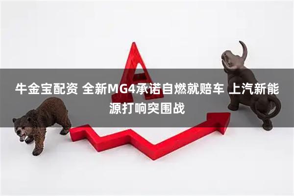 牛金宝配资 全新MG4承诺自燃就赔车 上汽新能源打响突围战