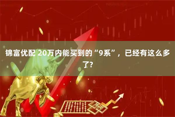 锦富优配 20万内能买到的“9系”，已经有这么多了?
