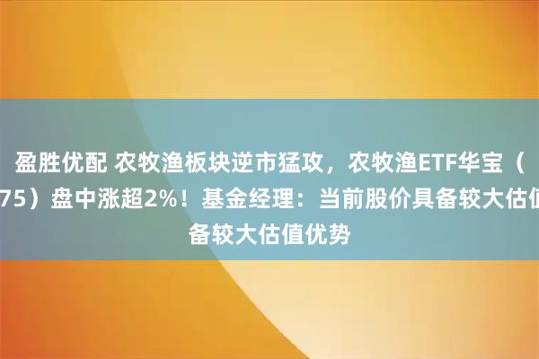 盈胜优配 农牧渔板块逆市猛攻,农牧渔ETF华宝(159275)盘中涨超2%!基金经理:当前股价具备较大估值优势