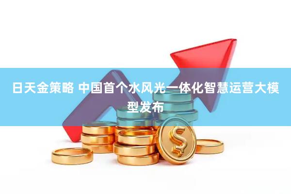 日天金策略 中国首个水风光一体化智慧运营大模型发布